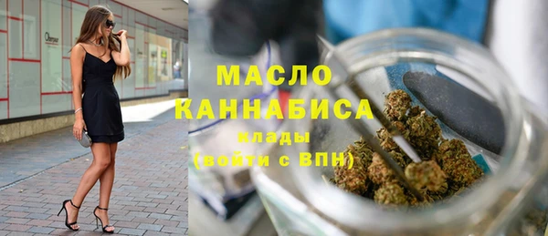 ешки Горняк