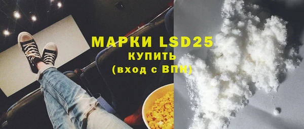 трава Медвежьегорск
