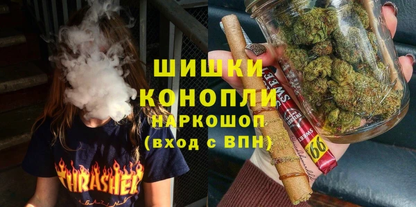 ешки Горняк