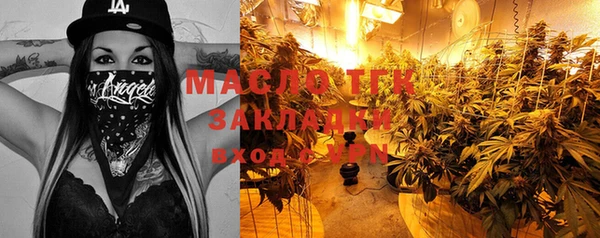 ешки Горняк