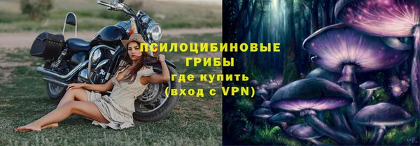 ешки Горняк