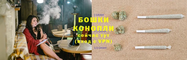 ешки Горняк