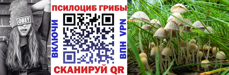 Галлюциногенные грибы MAGIC MUSHROOMS Дятьково